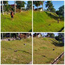 KERJA-KERJA PEMOTONGAN RUMPUT DI KAWASAN TEBING DAN BELAKANG DEWAN BESAR GEMAS